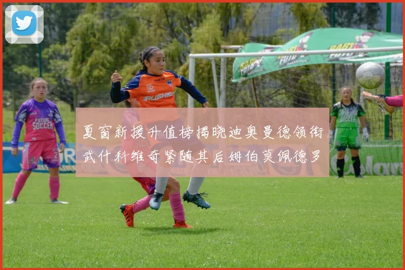 夏窗新援升值榜揭晓迪奥曼德领衔武什科维奇紧随其后姆伯莫佩德罗表现抢眼
