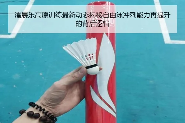 潘展乐高原训练最新动态揭秘自由泳冲刺能力再提升的背后逻辑